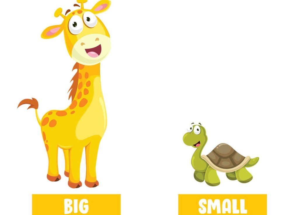 Adjetivos inglés big small jirafa tortuga